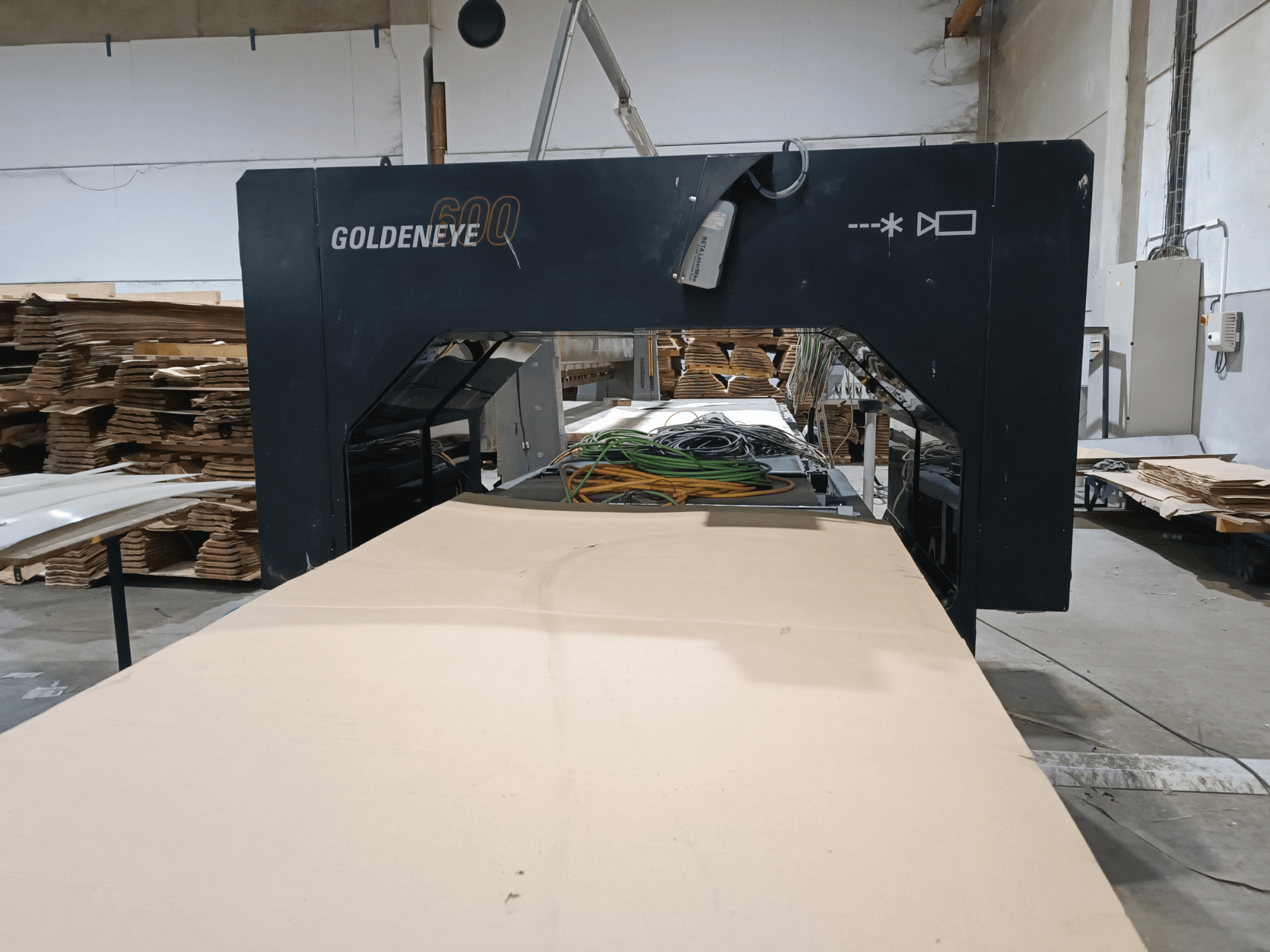 Microtec GOLDENEYE GLD 600 DSC ahşap işleme makinesi önden görünüm, geniş kesme yüzeyi ve atölye ortamında ekipman.